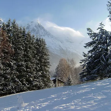 Appartement Studio Mont-blanc