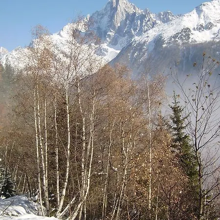Apartment Studio Mont-blanc *